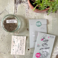 Kaartje Bloemenzaden Vreugde zaaien / sowing joy